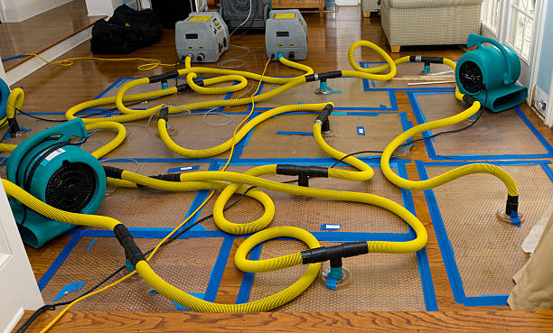 Professional Water Damage Restoration technician working in Glyndon, MD